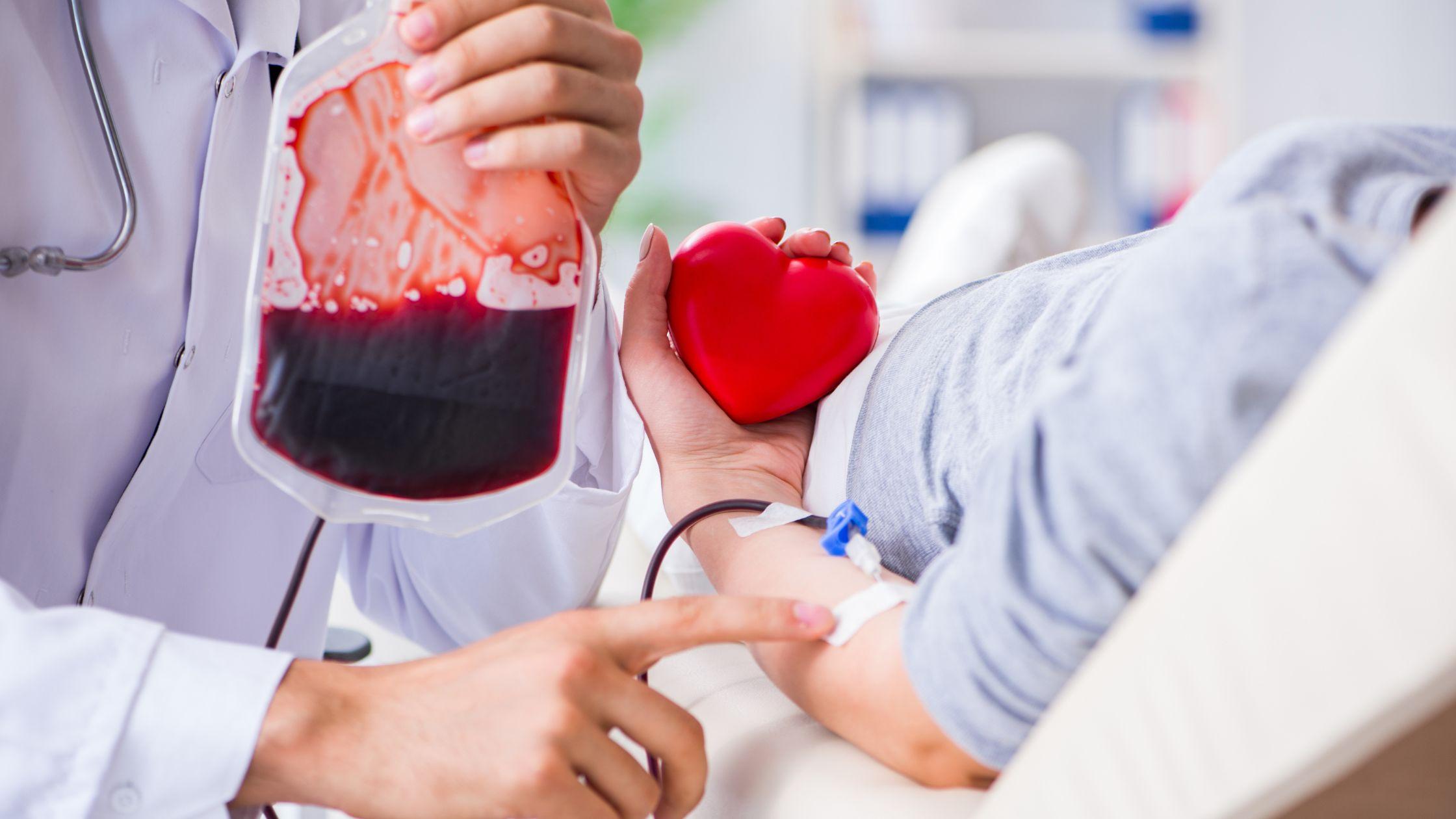 Blood Bags: A Comprehensive Buying Guide