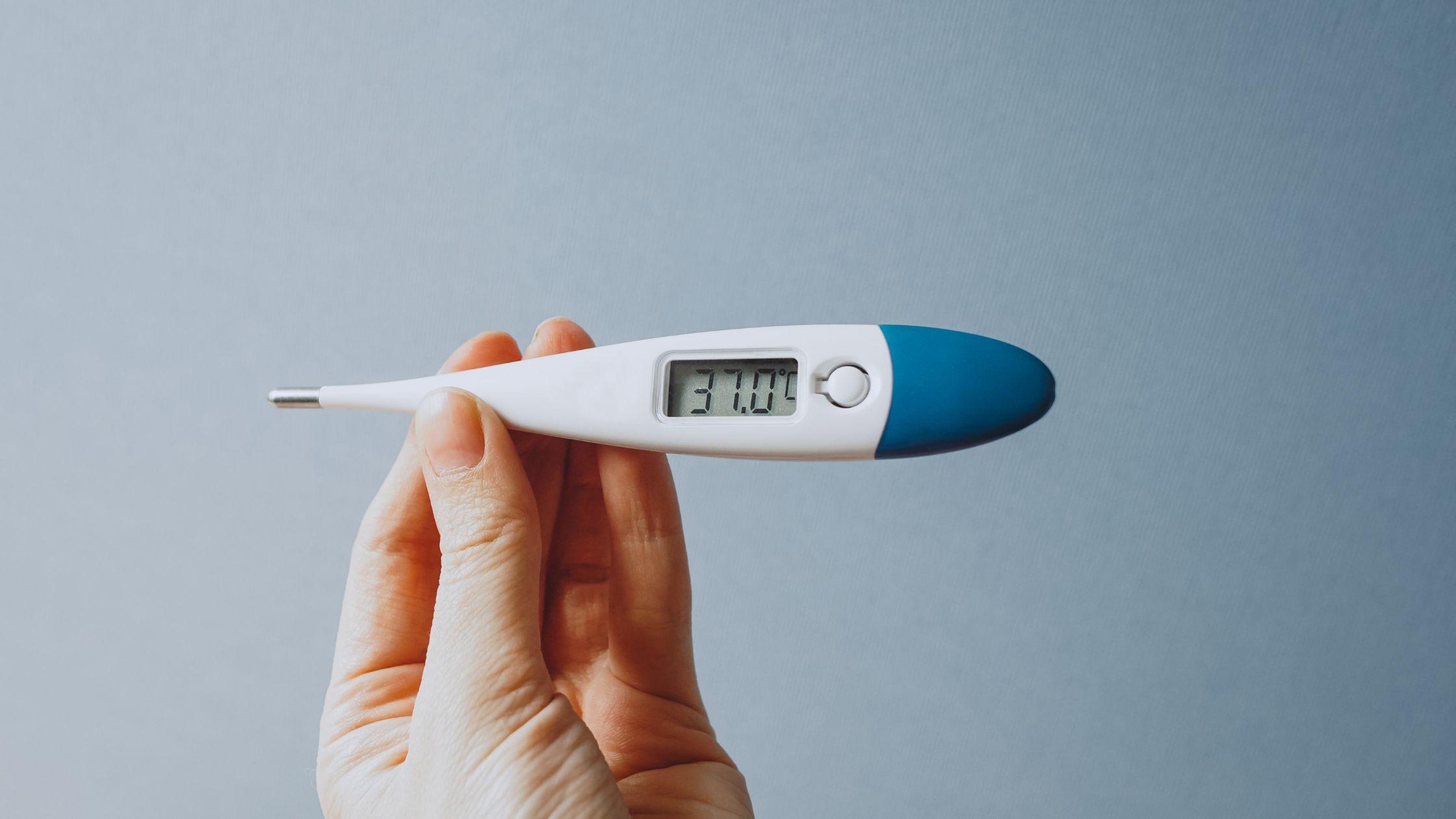 The Ultimate Guide to Digital Thermometer: How to Choose the Right One?-  MEXTECH